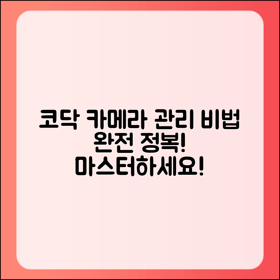 코닥 차메라 관리 비법 마스터하기