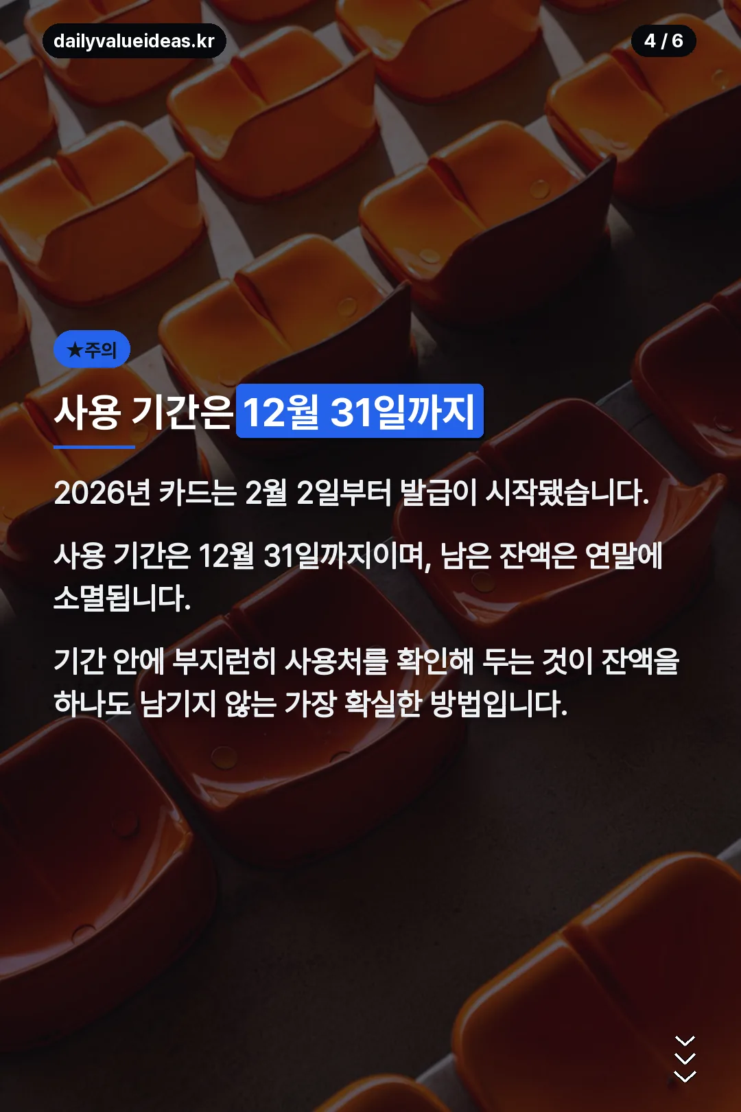 사용 기간 12월 31일까지 주의