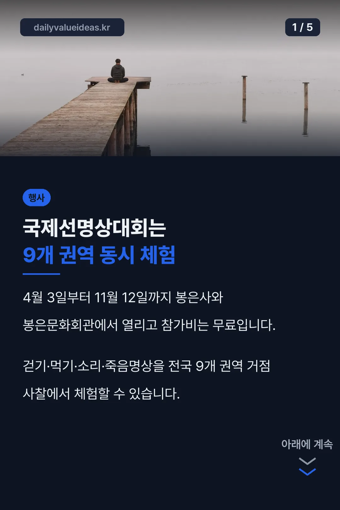국제선명상대회 핵심 정리
